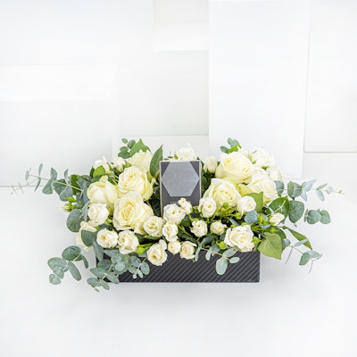 Faces Men's Perfume Box