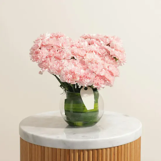 Graceful Pink Carnation Vase