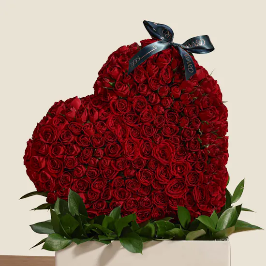 Love in Full View Flowers
