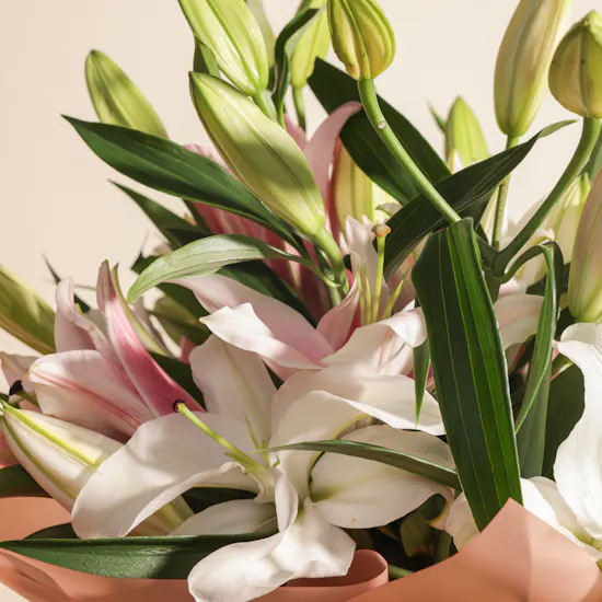 Graceful Lilies Bouquet | 8 Flowes