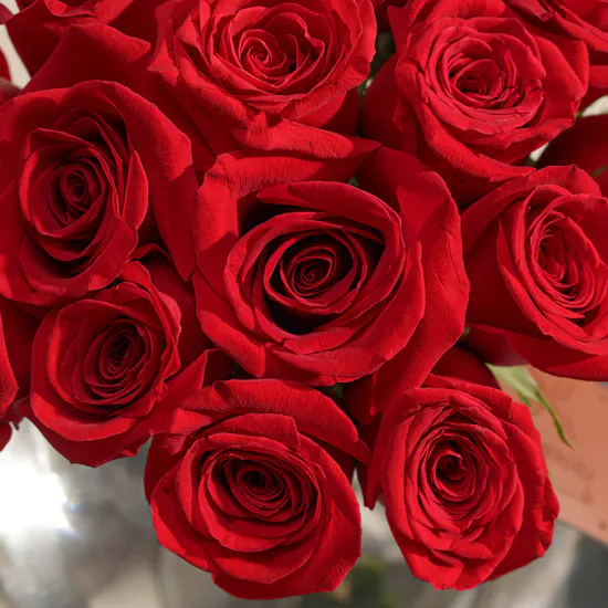 Rose Glow Flowers Vase