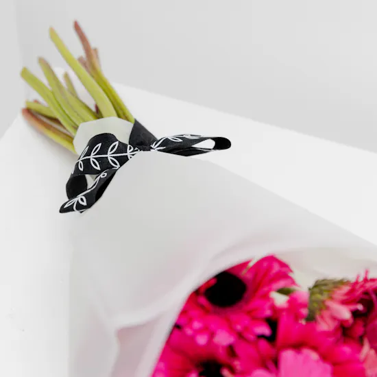 15 Fuchsia Gerbera | White Wrap