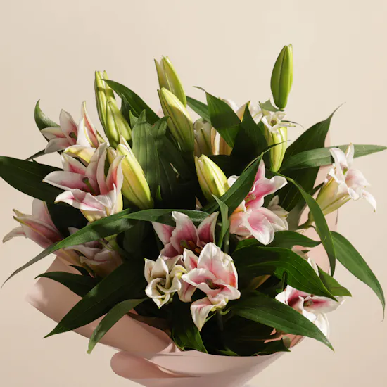 Blush Radiance Lily Bouquet