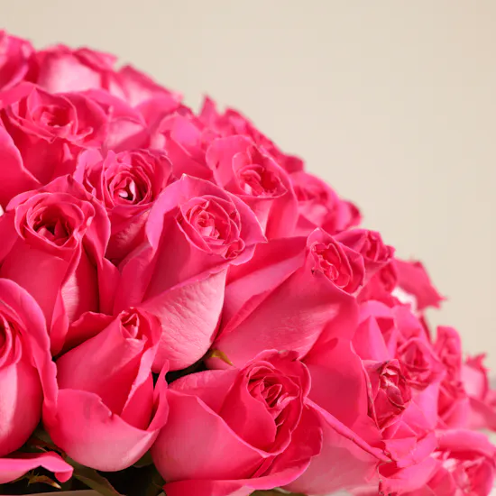Fuchsia Bliss Bouquet | 150 Roses