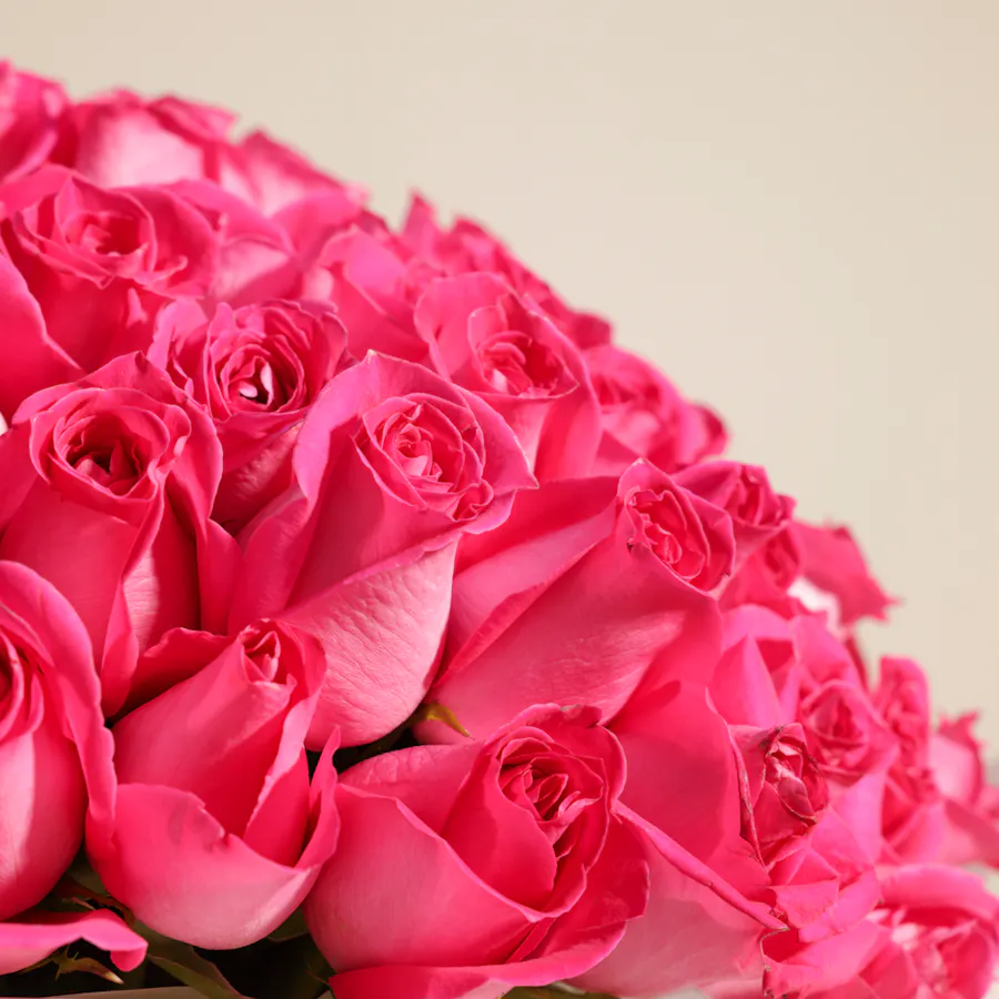 Fuchsia Bliss Bouquet | 150 Roses 3