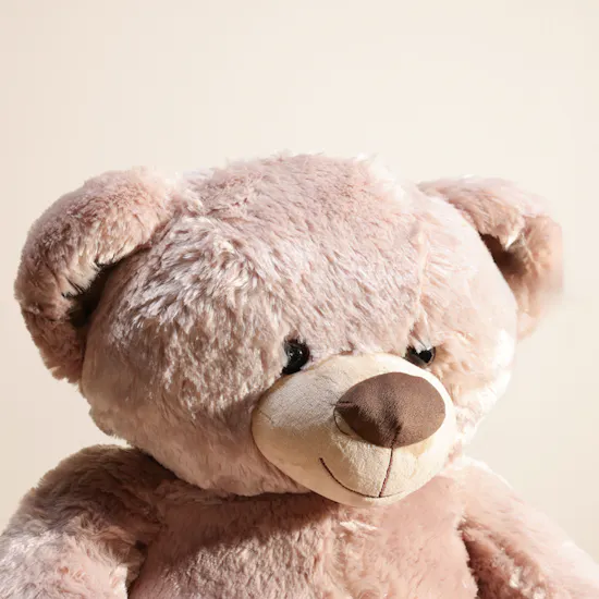 Floward Cute Brown Bear Plush Toy