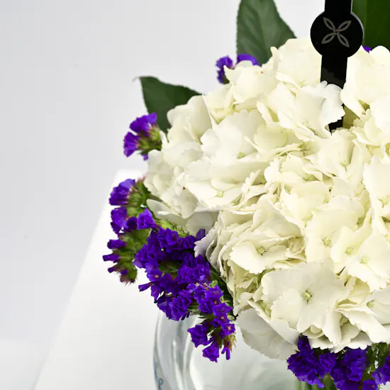 Simple Beauty Vase | Birthday Blooms