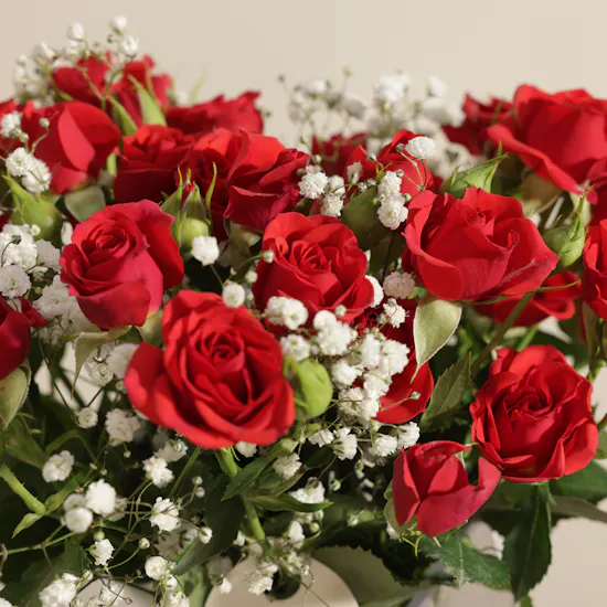 Whisper Elegance Red Baby Rose Vase