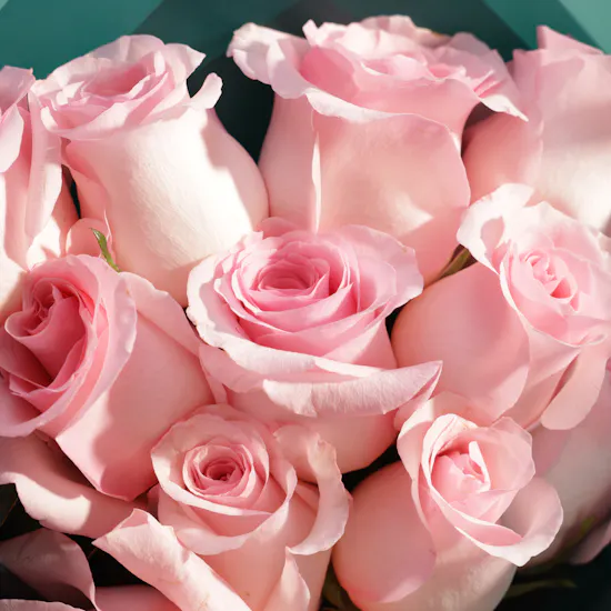 Klar Relax Massage Gift Card | Dozen Revival Rose Bouquet