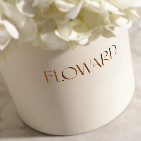 Magical White Hydrangea Box | 8 Flowers