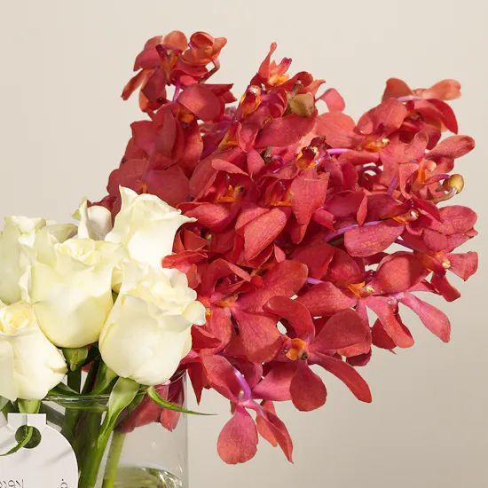 Harmonious Petals Flowers Vase