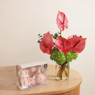 Suavinex Baby Born Set | Stunning Flowers Vase