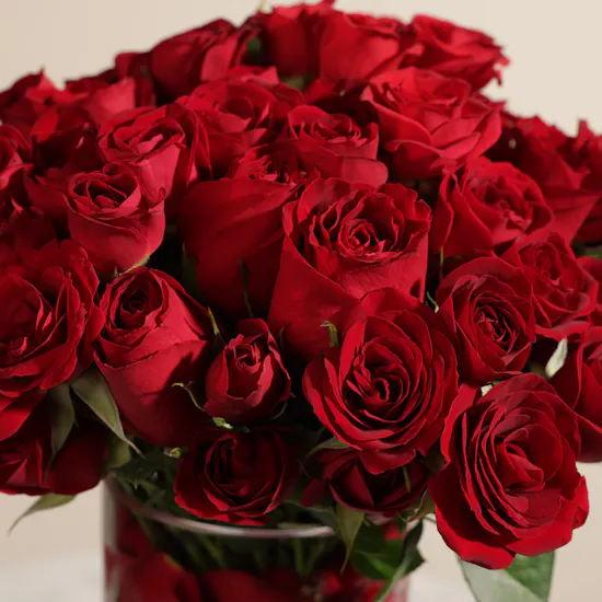 Red Beauty Vase