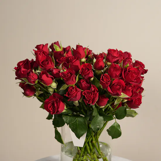 Scarlet Charm Baby Rose Vase