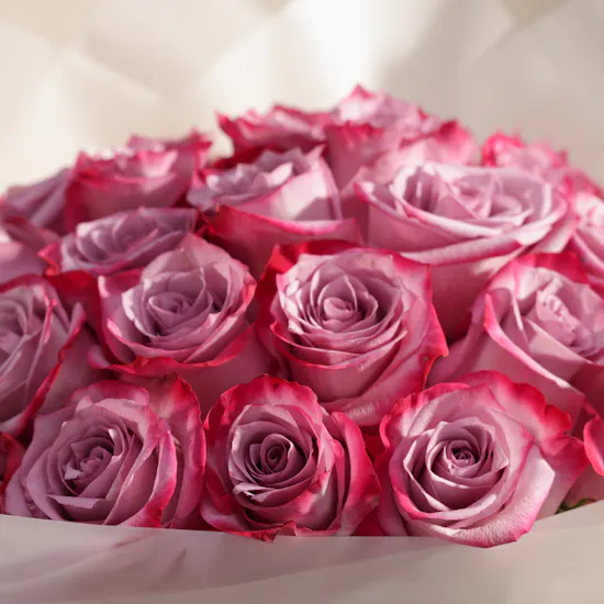 Purple Roses Bouquet | 35 Flowers