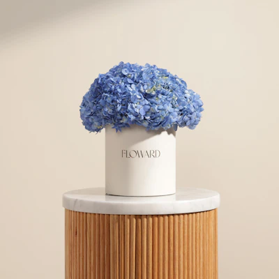 Blue Melody Hydrangea Box | 8 Flowers Blue Melody Hydrangea Box | 8 Flowers