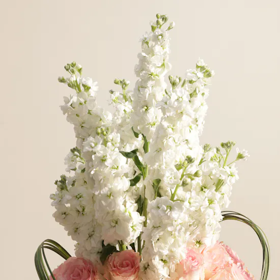Soft Romance Flower Vase