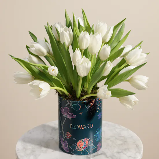 Festive White Tulip Box | 30 Flowers