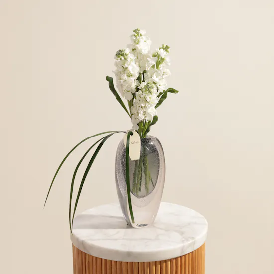Pure Charm White Matthiola Vase
