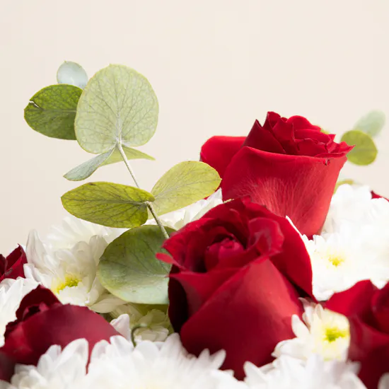 Elegant Flowers Vase