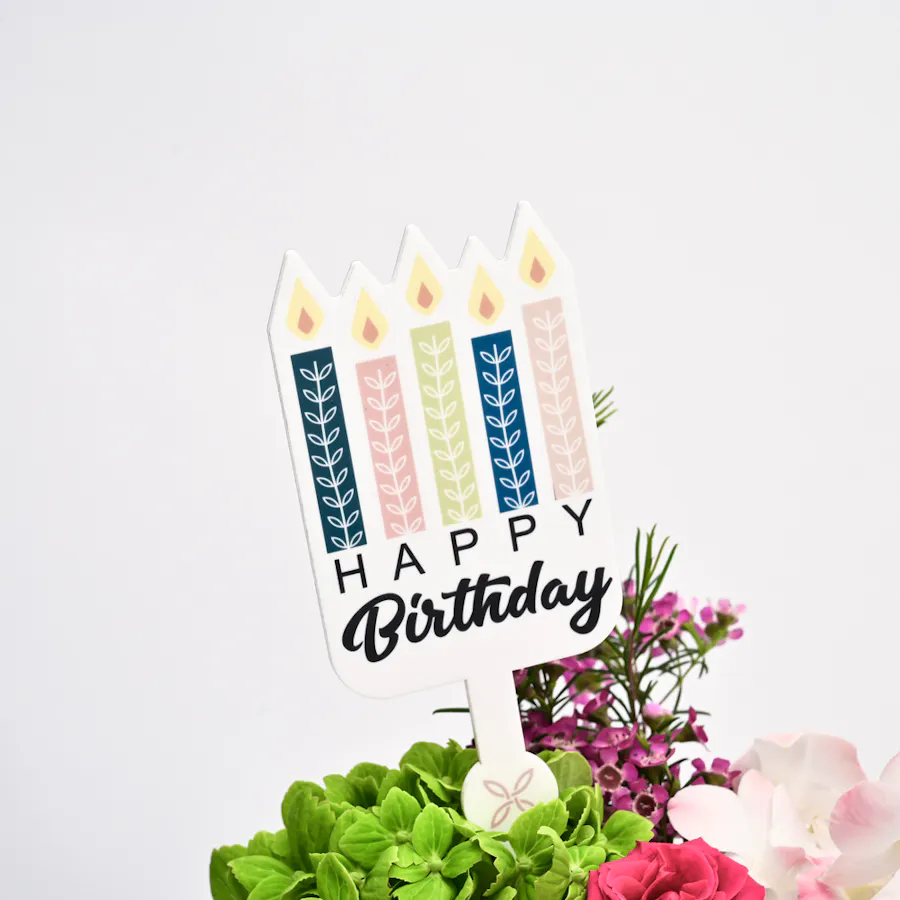 Bostani Rose Chocolate | Birthday Flowers 2