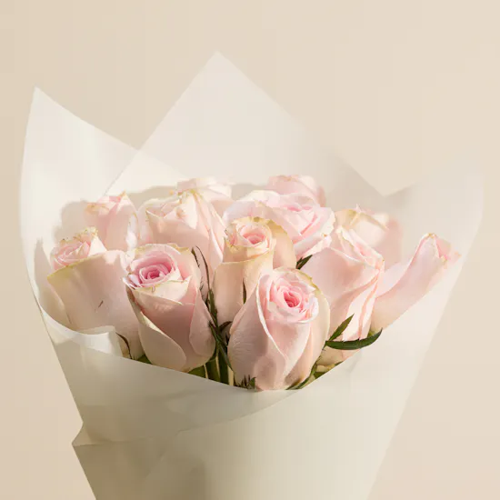 Elegant Pink Roses Bouquet | 12 Roses