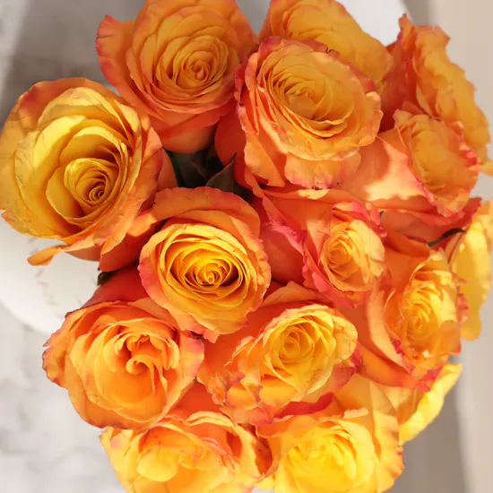 Orange Roses Flowers Box | 15 Flowers