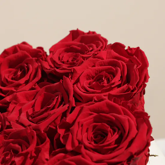 Romantic Preserved Red Rose Box