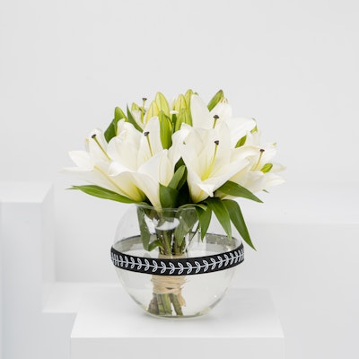 Island Lilies | White Lily