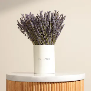 Dry Lavender Box