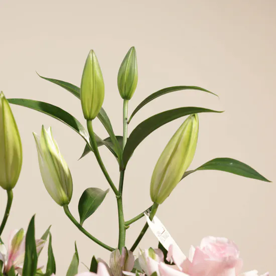 Soft Serenity Flowers Vase by September Studio