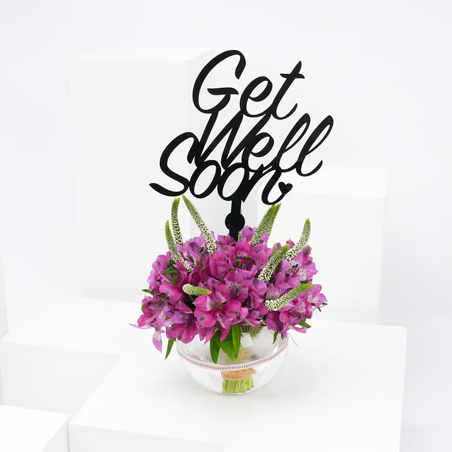 Get well soon | Purple Alstromeria  1