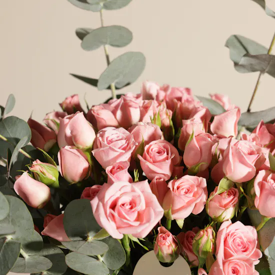 Ajmal Evoke EDP for Women | Soft Radiance Flowers