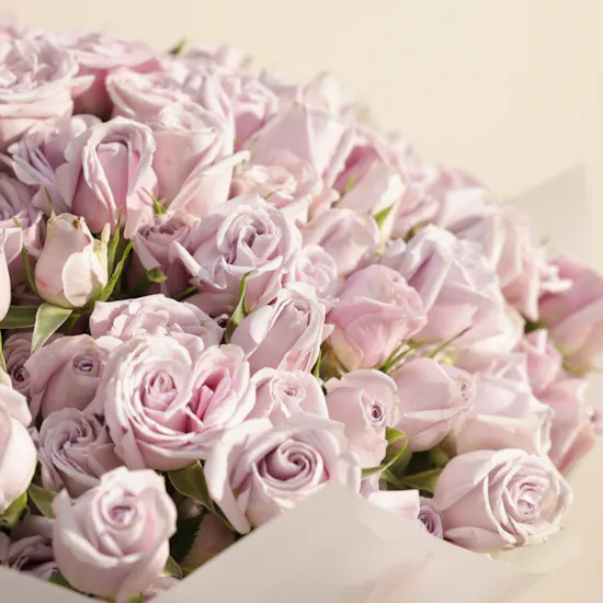 Violet Serenity Bouquet | 50 Baby Roses