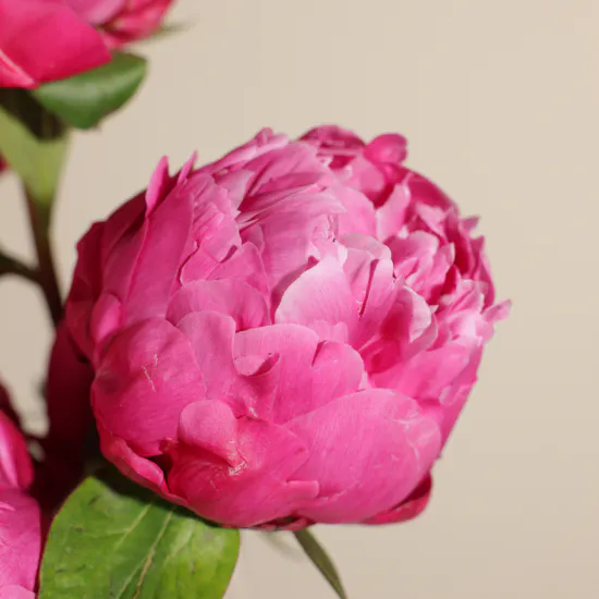 Welcome Little Princess Flower Vase