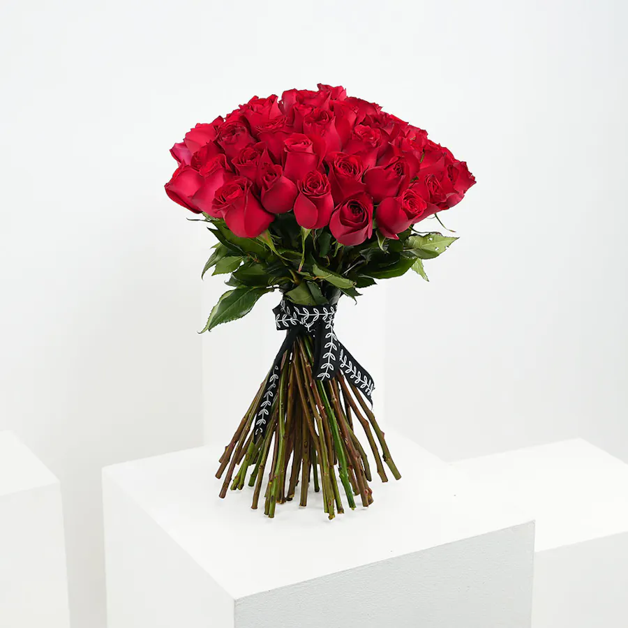 50 Red Roses | Black Ribbon 4