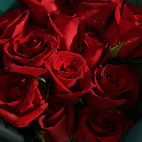 Optimo Membership Voucher and Original Gloves | The Language of Love Roses Bouquet