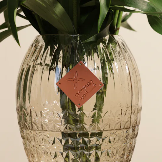 Pink Sapphire | Glass Vase