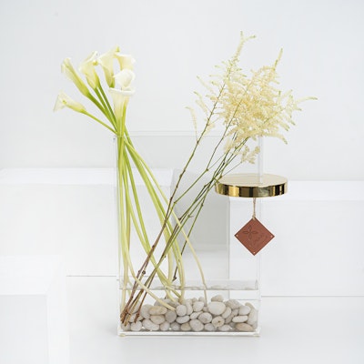 White Focal