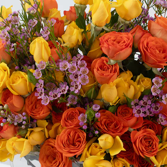 Yellow & Orange Petal Harmony