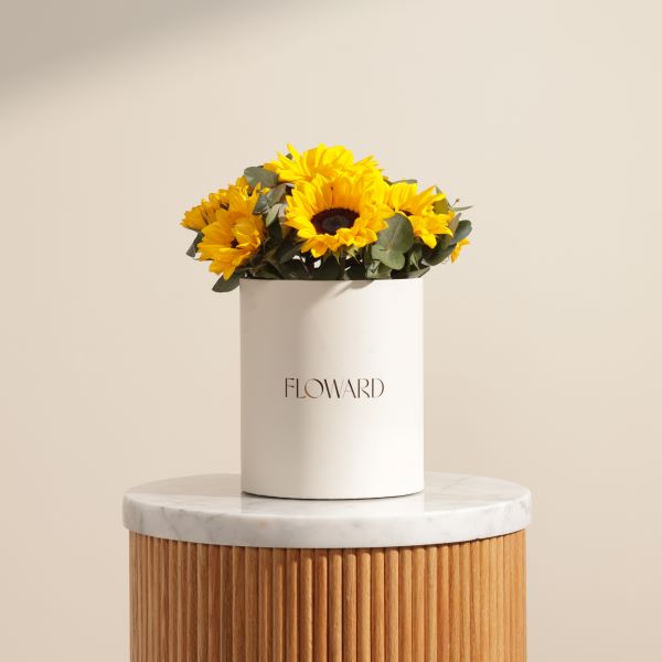 Fields of Light Sunflowers Box | 13 Flowers