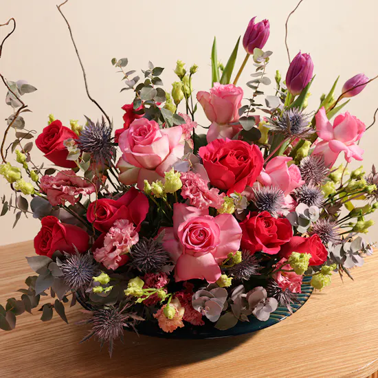 Glory Galore Blooms