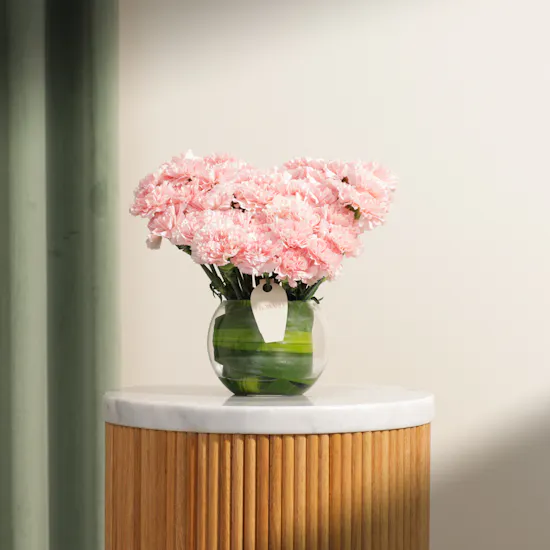 Graceful Pink Carnation Vase