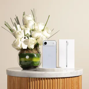 Apple Sky Blue iPhone 17 Air 256 GB | Charming Flower Vase Apple Sky Blue iPhone 17 Air 256 GB | Charming Flower Vase