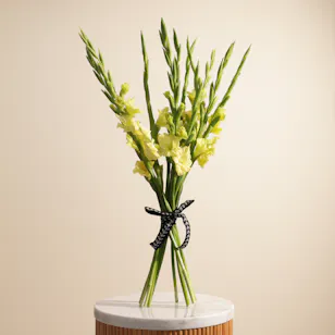 Green Gladiolus Bouquet
