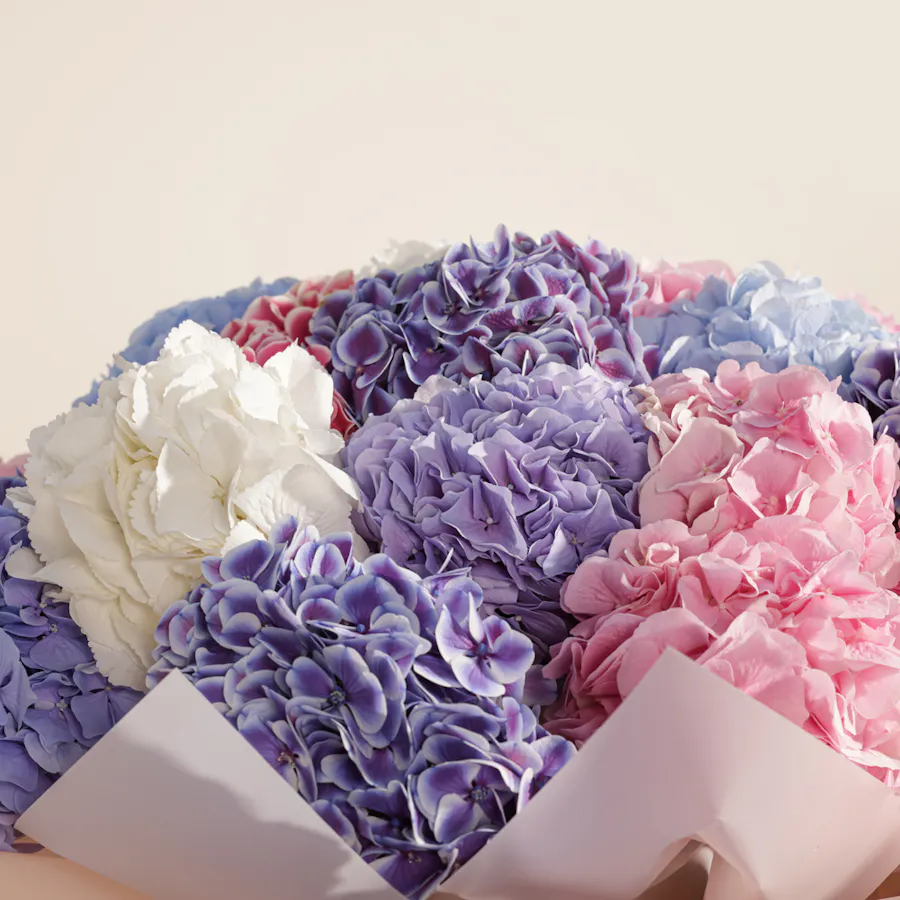 Hydrangea Clolorful Bouquet  4