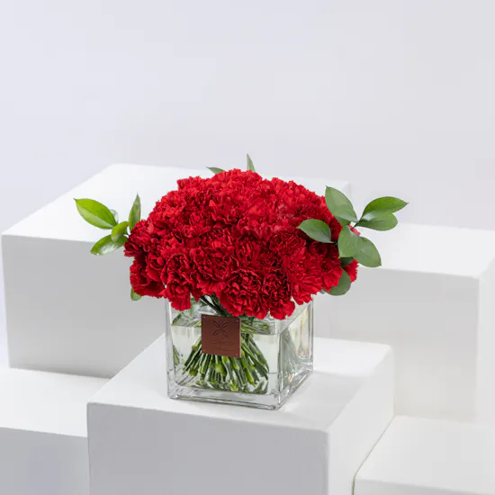 50 Red Carnations | Square Vase