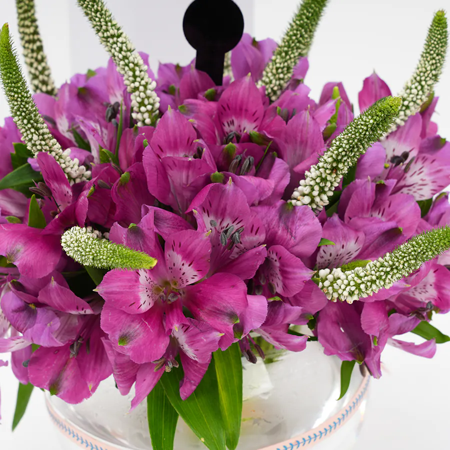 Get well soon | Purple Alstromeria  5