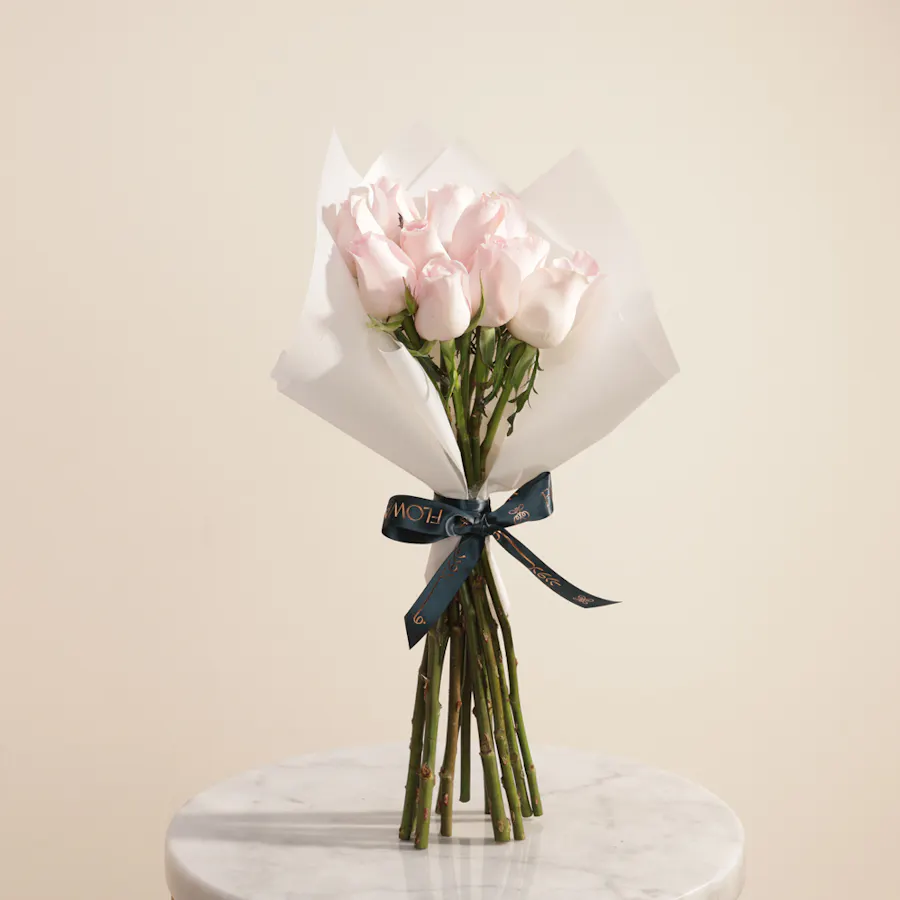 Forever Yours Light Pink Roses Bouquet | 12 Flowers  3