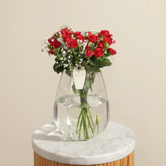 Whisper Elegance Red Baby Rose Vase